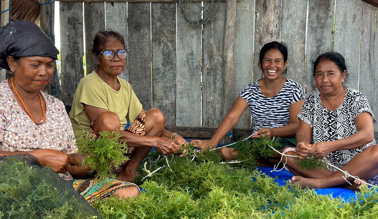 women smiling while they harvesting seaweed