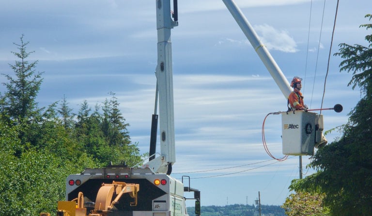 Tree Pruning Services