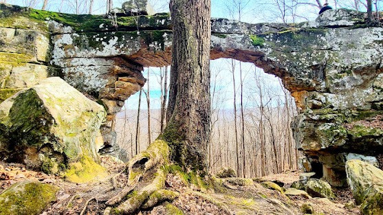 Sewanee - Inside the sinkhole looking thru the Natural Bridge opening