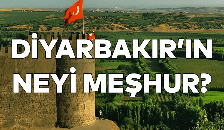 Diyarbakır'ın Neyi Meşhur?