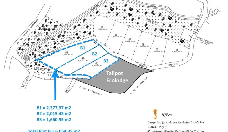 Terrains à vendre Confotur Miches