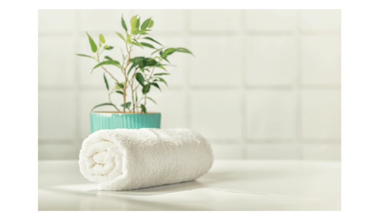 handicap salle de bain ma prime adapt