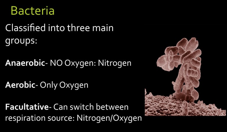 image of Soil Bacteria respiration classes