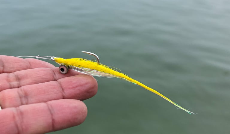 Yellow clouser minnow