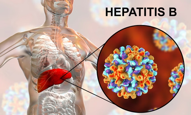 GASTRO FOUNDATION Hepatitis B