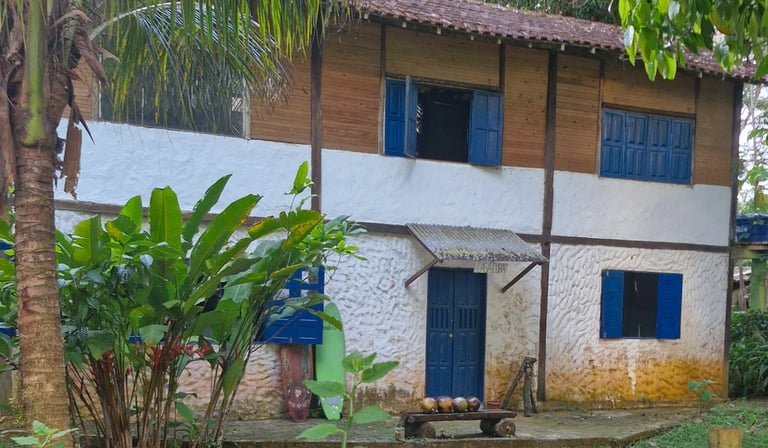 Casa Cura Itacaré Bahia - Terapias, Rituais e medicinas da floresta -Ayahuasca, Rapé, Cacau Medicina