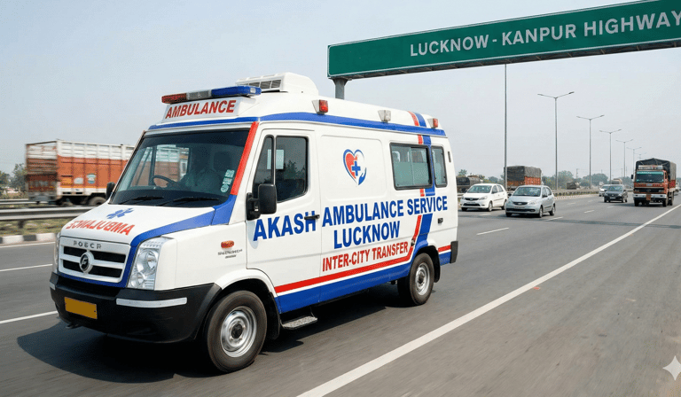 Deep Freezer Ambulance Service