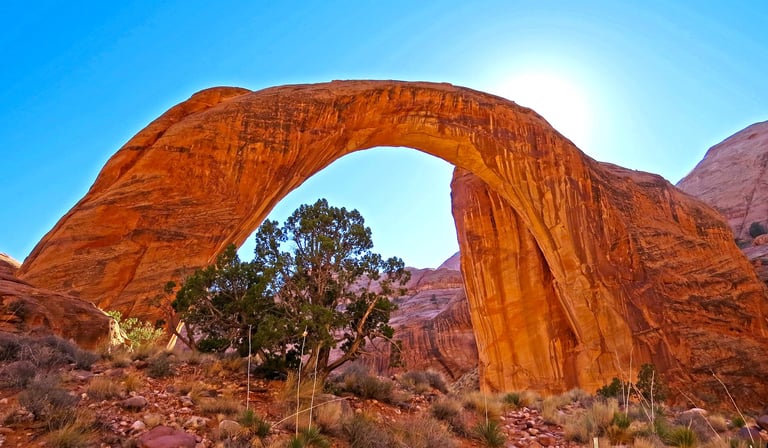 Flagstaff/Page Travel - Down Forbidding Canyon is the trail to Rainbow Bridge Monument