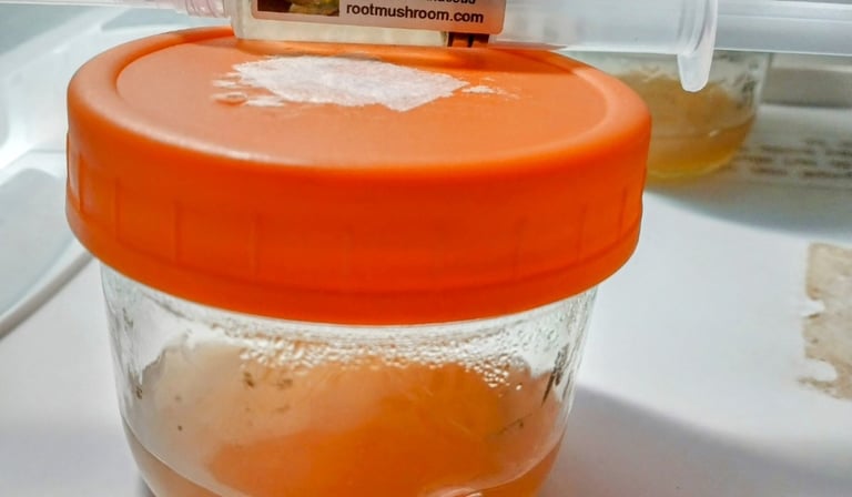 no pour agar jar