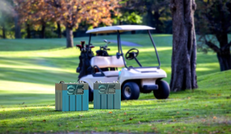 golf cart batteries 51.2V 30Ah