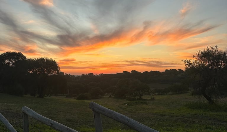 atardecer postal en la colina victoria entre rios 