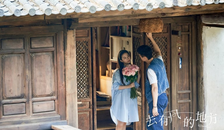 Meet Yourself – Conheça a Si Mesma - 去有风的地方 - C-Drama - DoramaLand