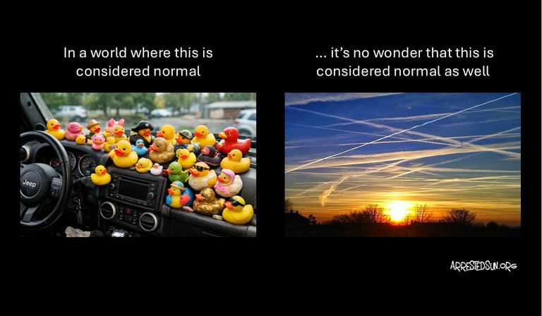 Arrested Sun Geoengineering Awareness Memes - Jeep Ducks Geoengineering