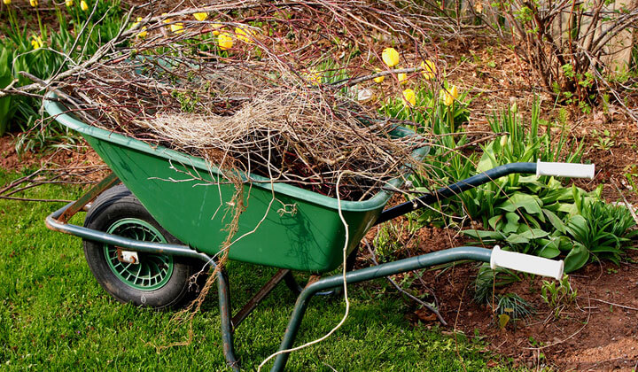 Yard Clean Up by Kikubari Property Maintenance