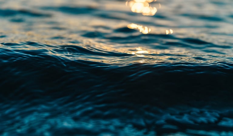 Un gros plan d'une vague au milieu de l'océan avec un reflet de soleil.