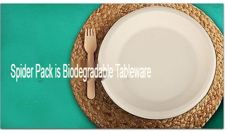 Spider Pack biodegradable tableware set with an eco-friendly plate and wooden fork on a woven placemat.