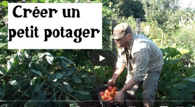 Créer un petit potager en volume