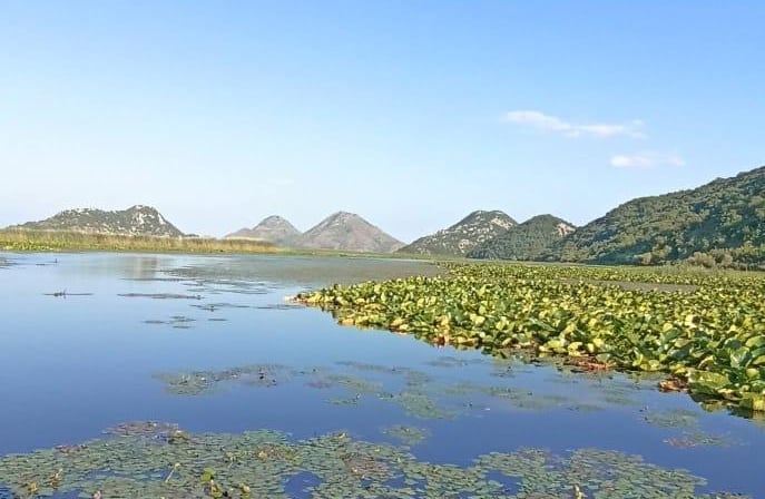Panoramic viewpoint over Skadar Lake in Montenegro