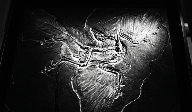 Why Archaeopteryx Is No Longer the First Bird