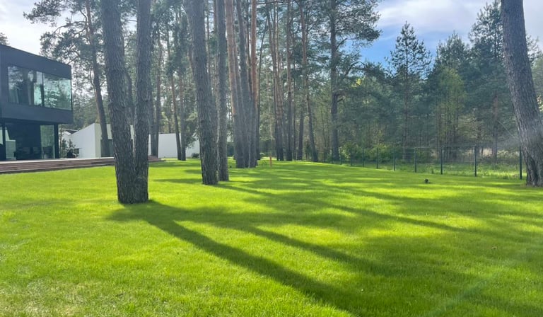 vejos įrengimas privačiame sklype su automatine laistymo sistema