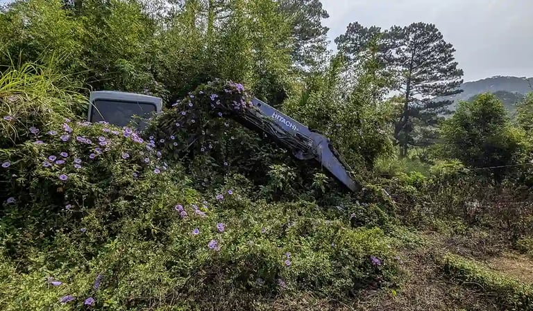 Abandoned excavator overgrown with flowers in the Vietnamese countryside