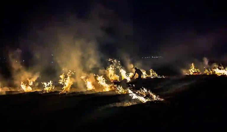 Farmers burning crop residue in rice fields at night in Noi An Vietnam