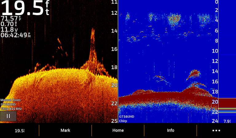 2D and down image of bass above structure