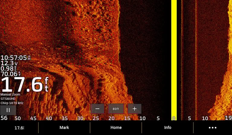 side imaging view of fish and shadow in lake