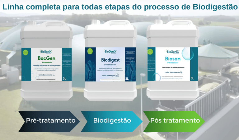 biodigestores; bioenergia