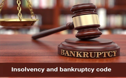 Insolvency and bankruptcy