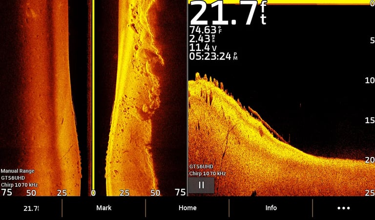 image verticale et latérale avec les structures