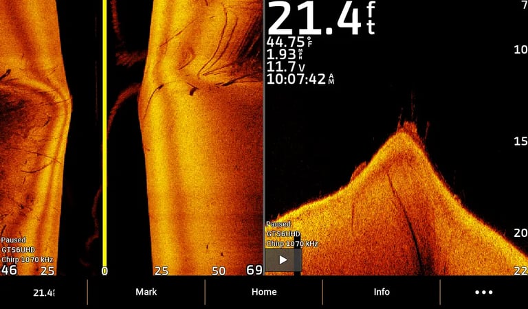 Garmin sonar images of branches and rocks on side view and down view