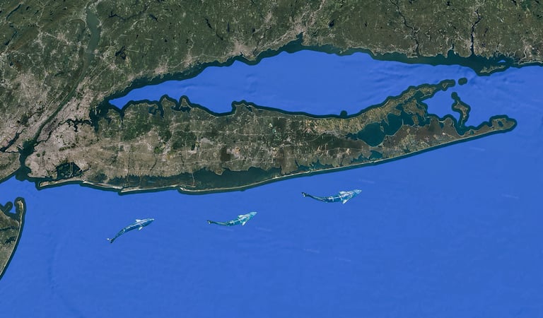 Bluefish migration 