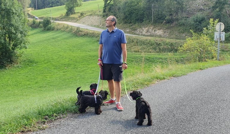 Eleveur et ses Schnauzers en balade