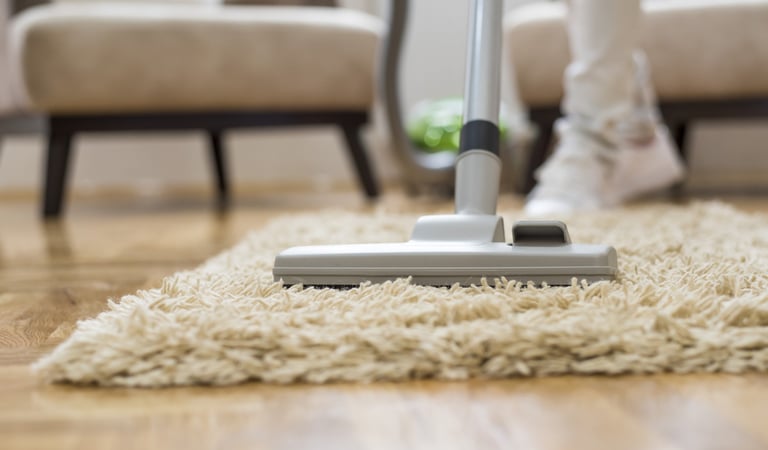 Technician performing professional carpet cleaning in a living room