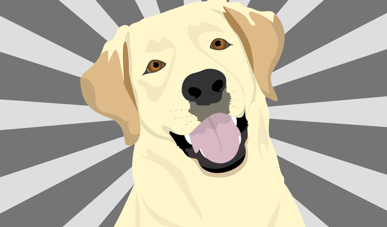 labrador pop art
