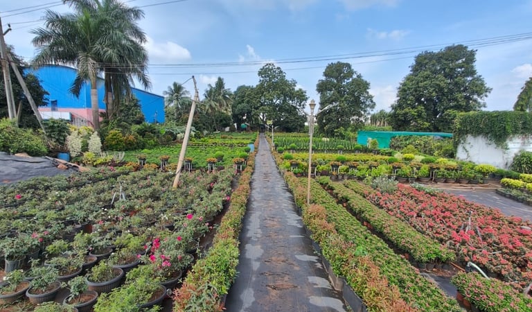 Plants Nursery in Kakinada