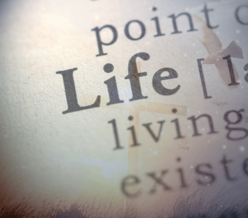 Life in Christ