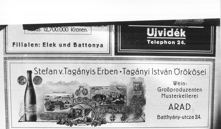 taganyi borcimke