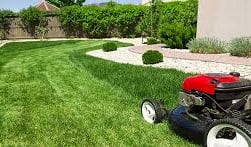 lawn mower on green grass