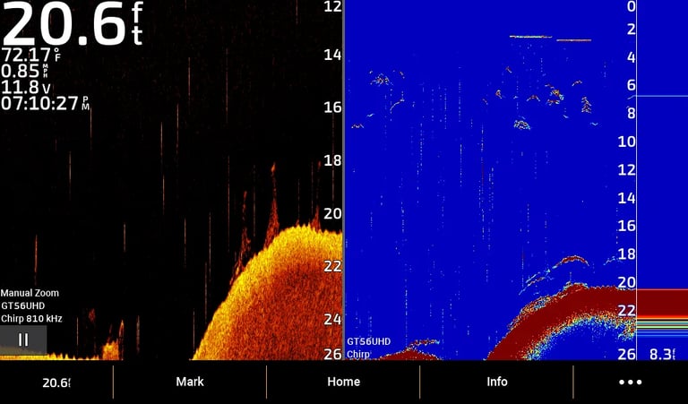 Down Imaging sonar (left) showing suspended bass over weeds 