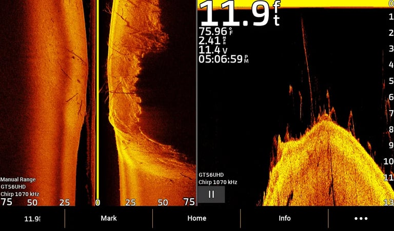 achigan sur imagerie verticale dans les branches