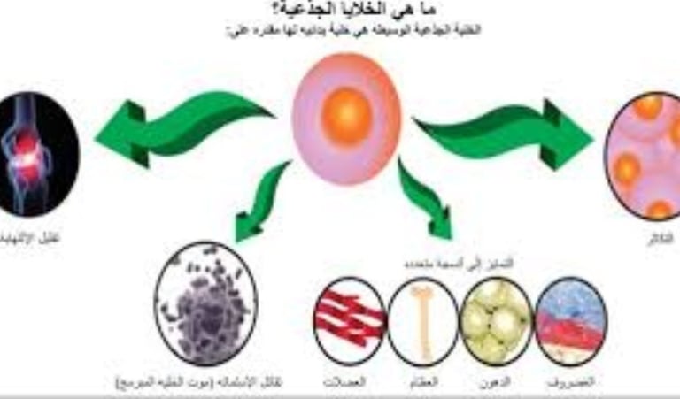 لتصلب المتعدد والصيام
