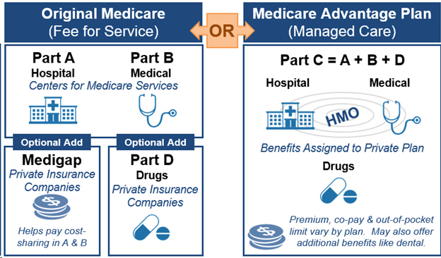 Explain original Medicare Part A and B. Medicare Advantage or Part C. option to buy Medigap and part D with original Medicare