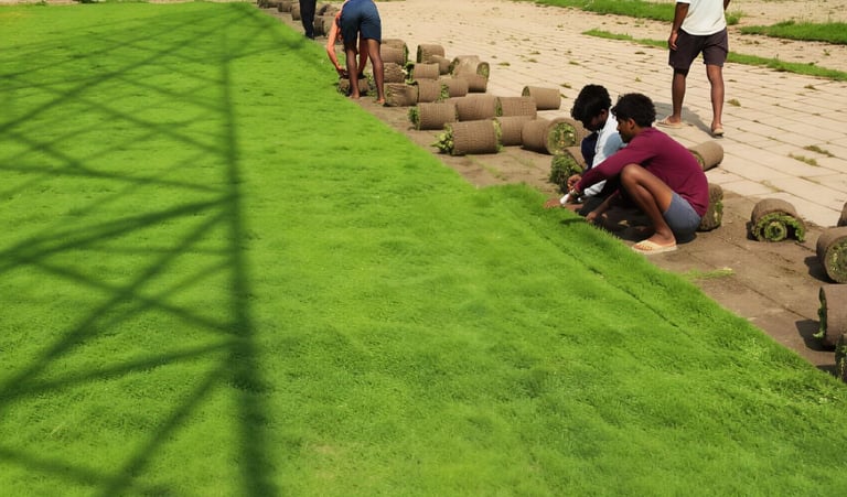 lawn grass suppliers Visakhapatnam