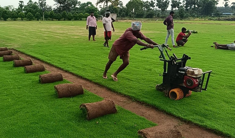 lawn grass installation Hyderabad