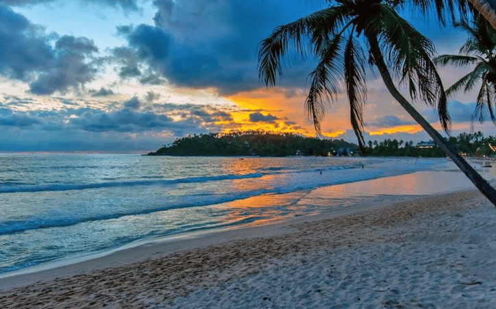 Arugam Bay