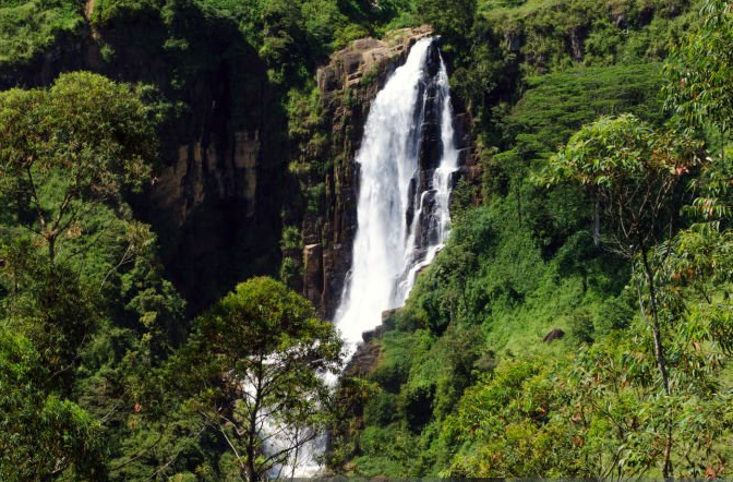 devon falls