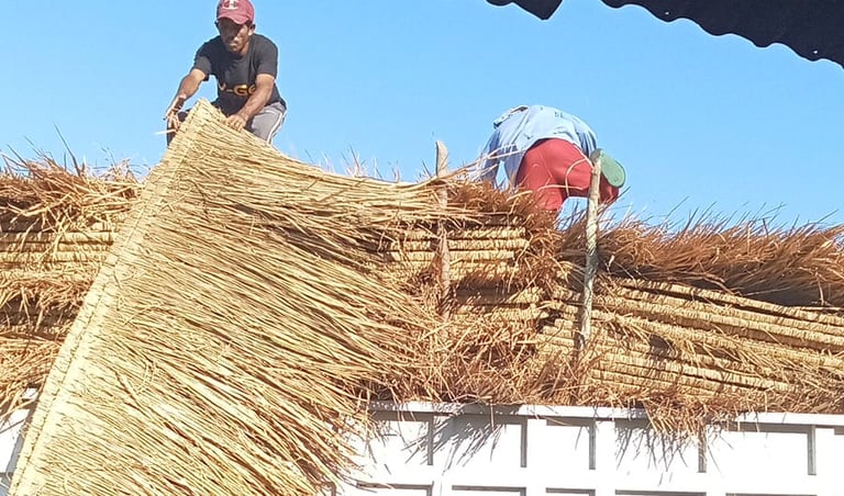pengiriman atap alang-alang
