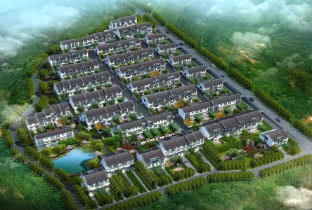 project shandong